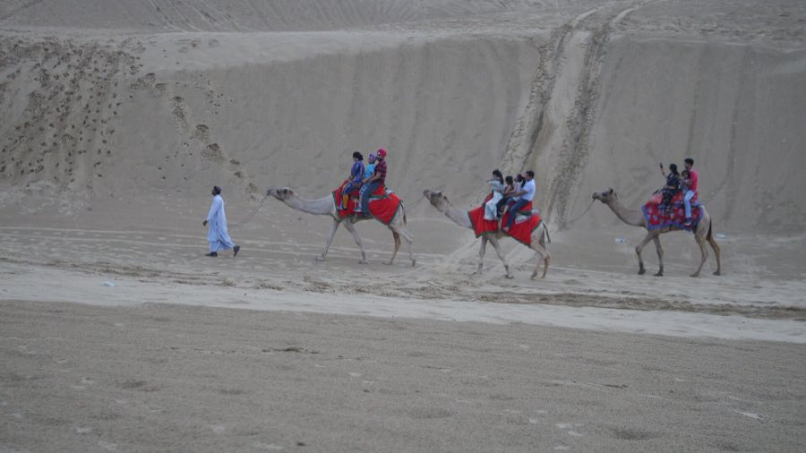 Camel ride across the Sam sand dunes near Jaisalmer