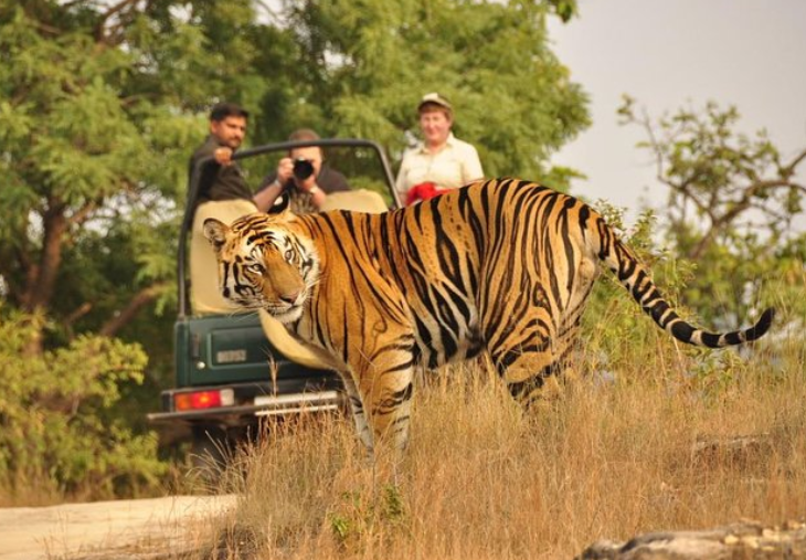 Ranthambore Tour Package