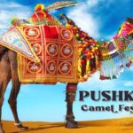 Camel Fair At Pushkar