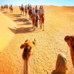 Places to visit in Jaisalmer